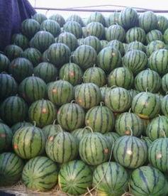 保定清苑最新吃瓜爆料,揭秘神秘事件背后的真相 第3张 保定清苑最新吃瓜爆料,揭秘神秘事件背后的真相 第3张